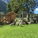 Vorderponholz Διαμέρισμα *