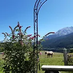 Vorderponholz