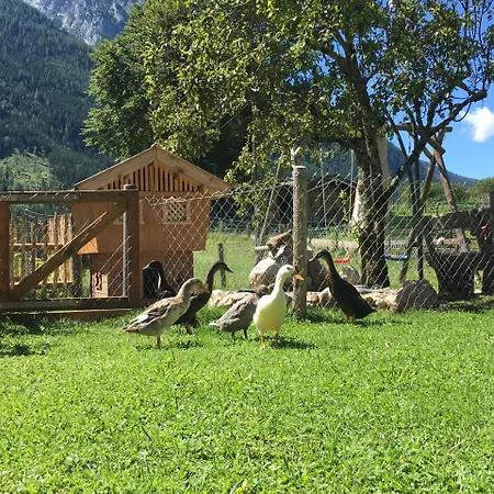 Vorderponholz Appartamento *