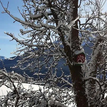 Appartamento Vorderponholz *